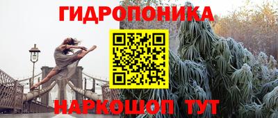 Альфа ПВП Владимир