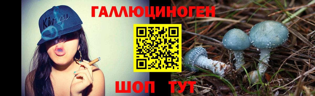 Псилоцибиновые грибы Magic Shrooms Зеленодольск